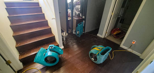Best Emergency water damage restoration  in Harbison Nyon, CA