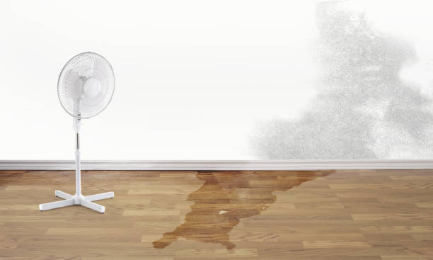 Best Sewage cleanup and water damage restoration  in Harbison Nyon, CA