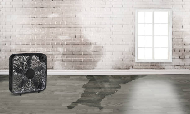 Best Residential water damage restoration  in Harbison Nyon, CA
