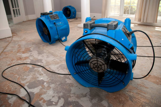 Best Water damage restoration services  in Harbison Nyon, CA