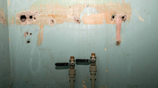 Best Carpet water damage restoration  in Harbison Nyon, CA