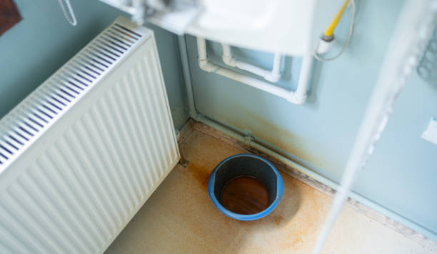 Best Water damage contractors near me  in Harbison Nyon, CA