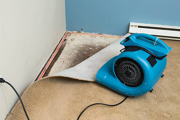 Best Residential water damage restoration  in Harbison Nyon, CA